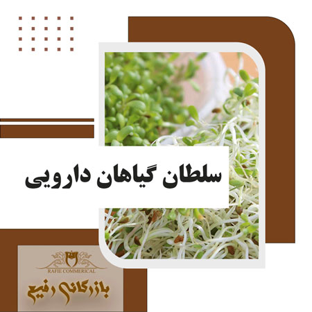 سلطان گیاهان دارویی