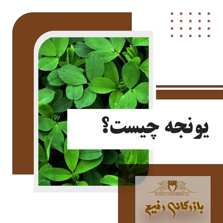 یونجه چیست؟