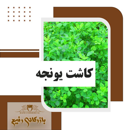کاشت یونجه