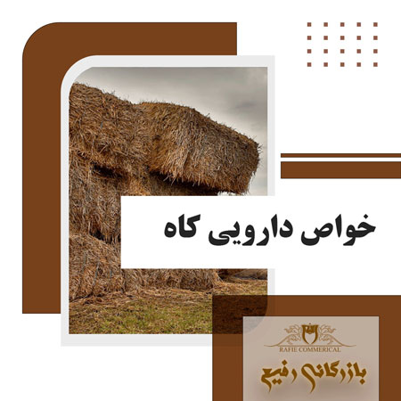 خواص دارویی کاه
