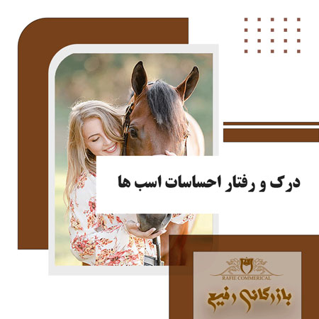 درک و رفتار احساسات اسب ها