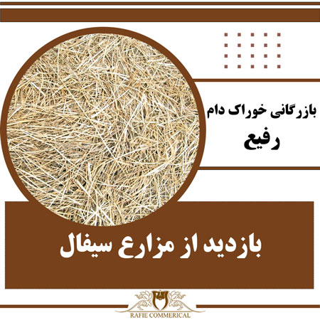 بازدید بازرگانی رفیع