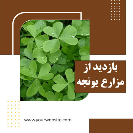 بازدید بازرگانی رفیع