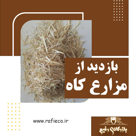 بازدید بازرگانی رفیع