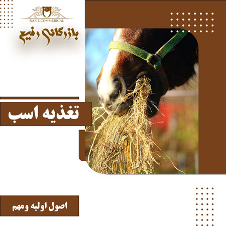 تغذیه اسب
