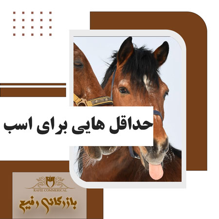 حداقل هایی برای اسب