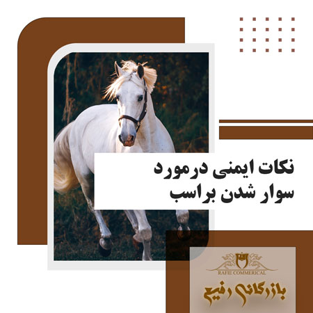 نکات ایمنی درمورد سوار شدن بر اسب