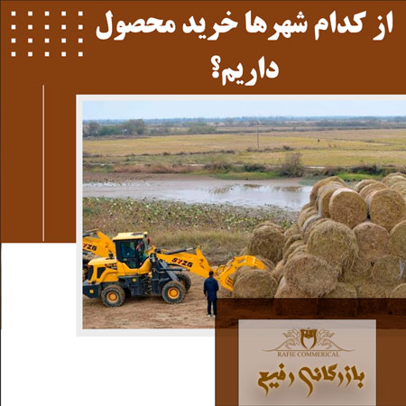 از کدام شهر ها خرید محصول داریم؟