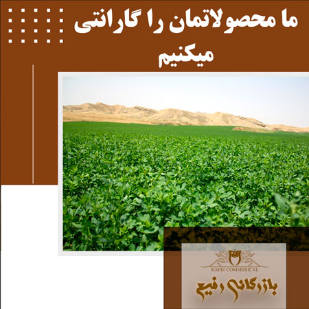 ما محصولاتمان را گارانتی می کنیم