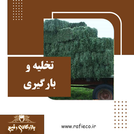 تخلیه و بارگیری