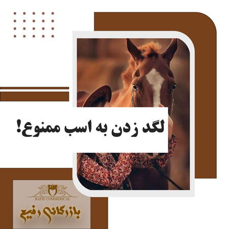 لگد زدن به اسب ممنوع!