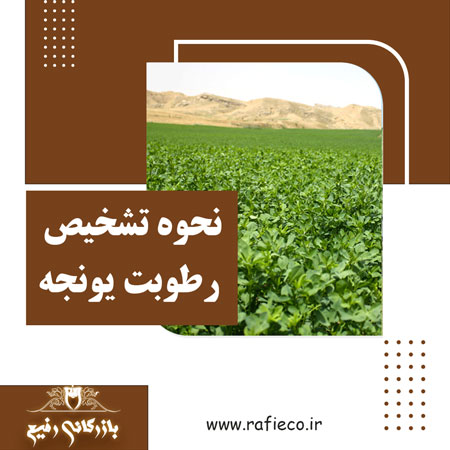 نحوه تشخیص رطوبت یونجه