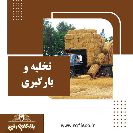 تخلیه و بارگیری