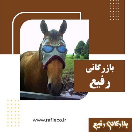 کلیپ های طنز از اسب ها