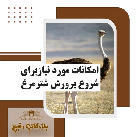 امکانات مورد نیاز برای شروع پرورش شترمرغ