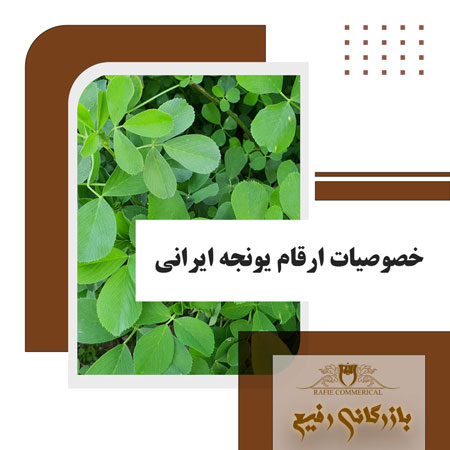 خصوصیات ارقام یونجه ایرانی