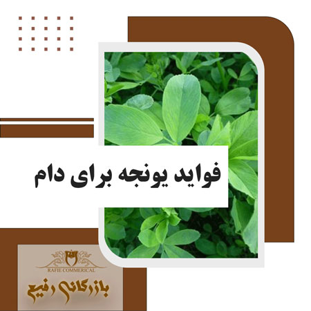 فواید یونجه برای دام