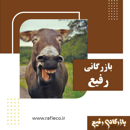 بازرگانی رفیع(طنز)