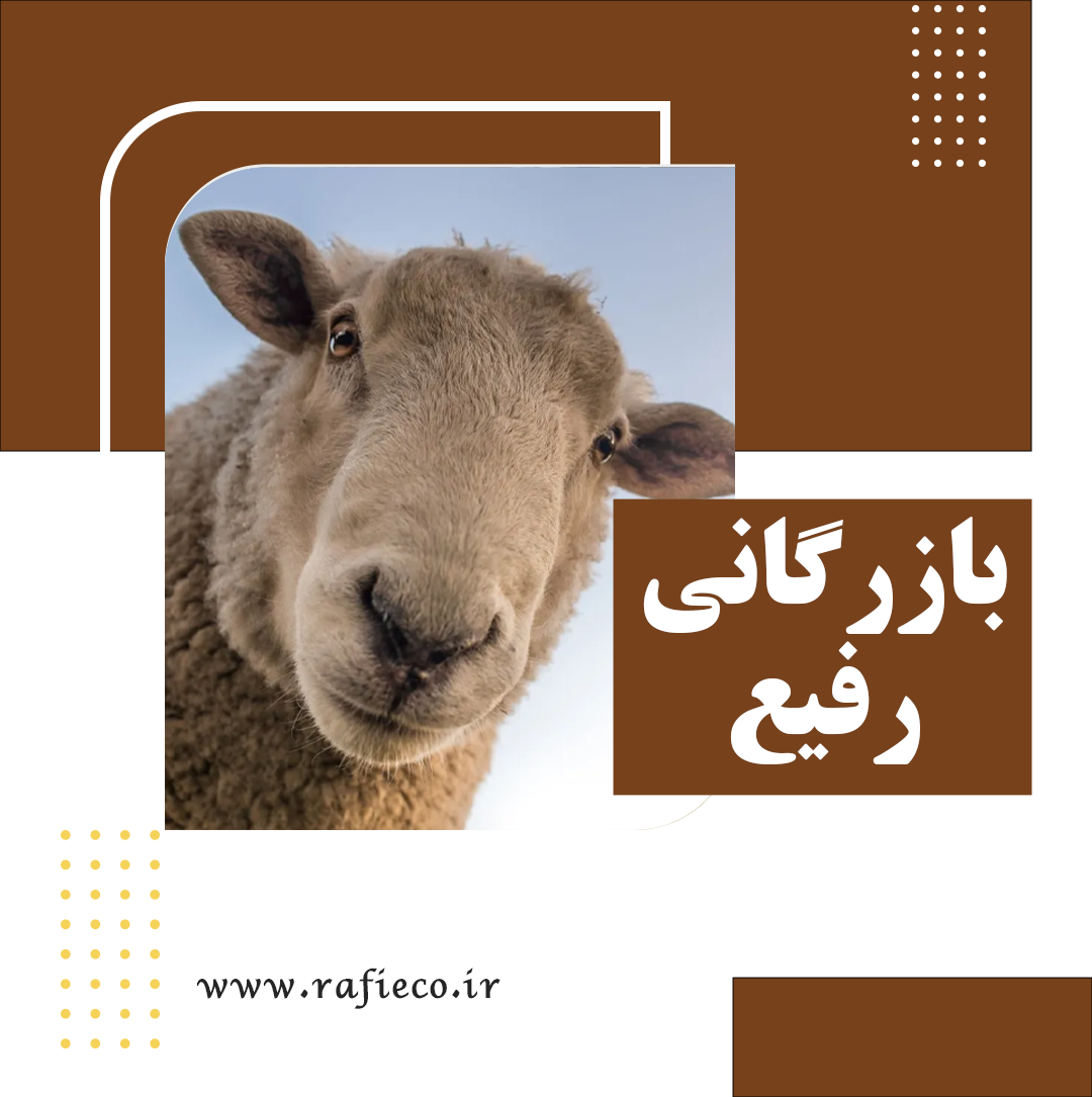 بازرگانی رفیع (طنز)