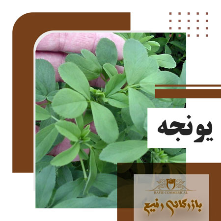 همیشه که نمی‌توان گوسفندان را به چرا برد🤔 پس برای تغذیه آن ها چه کنیم؟؟