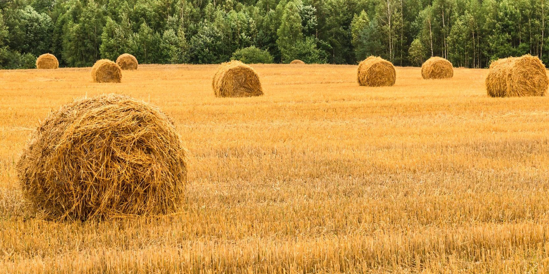 سامانه میدان بار (دَرَک)