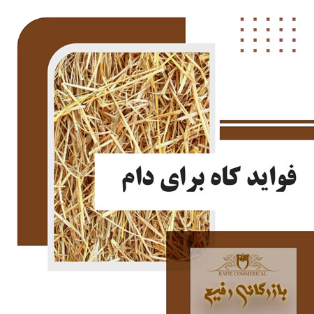 فواید کاه برای دام